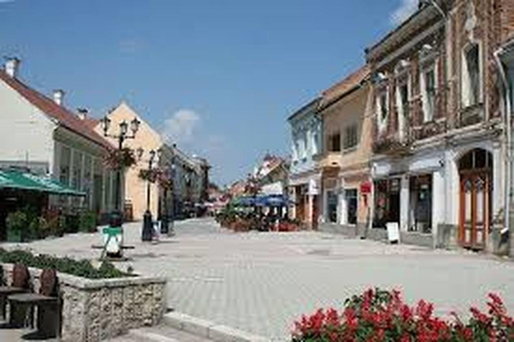 Betty Panzio Hotel Miercurea Ciuc Exterior foto